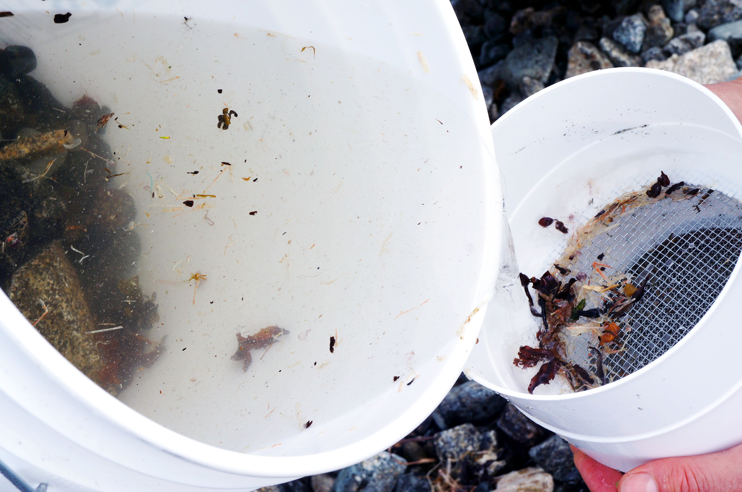 The floating items will get caught in sieves. You can see a green thread in the bucket on its way into a sieve. 