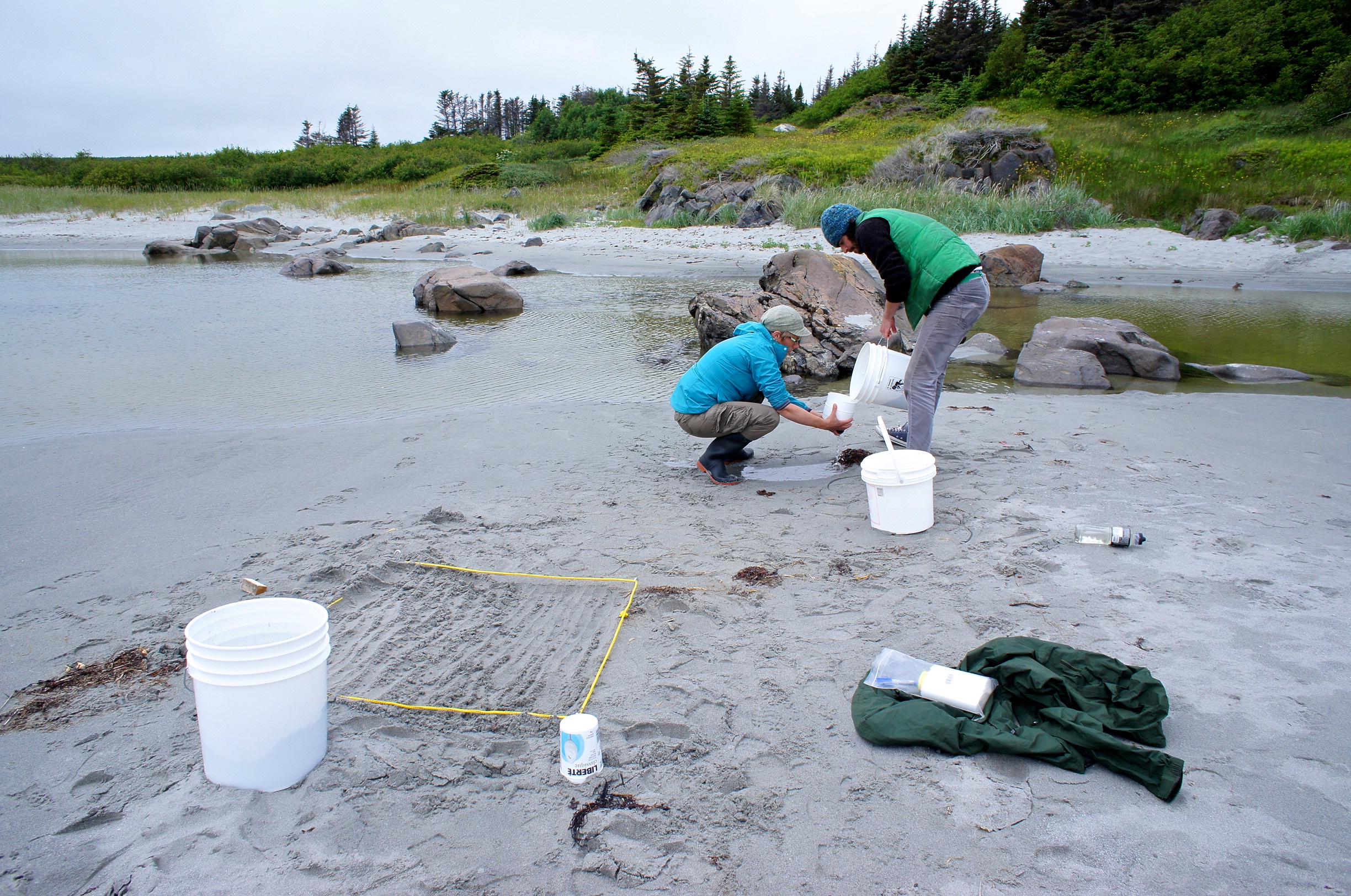 Sandy Beach Surveys - CLEAR - Civic Laboratory for Environmental Action ...